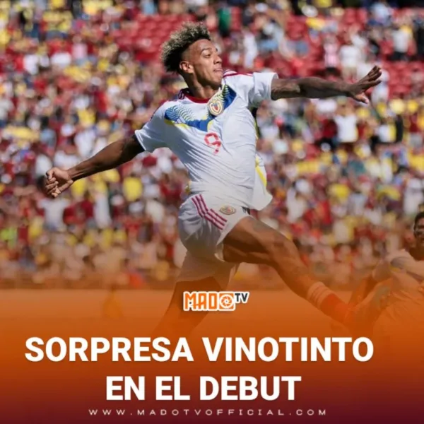 SORPRESA VINOTINTO EN EL DEBUT