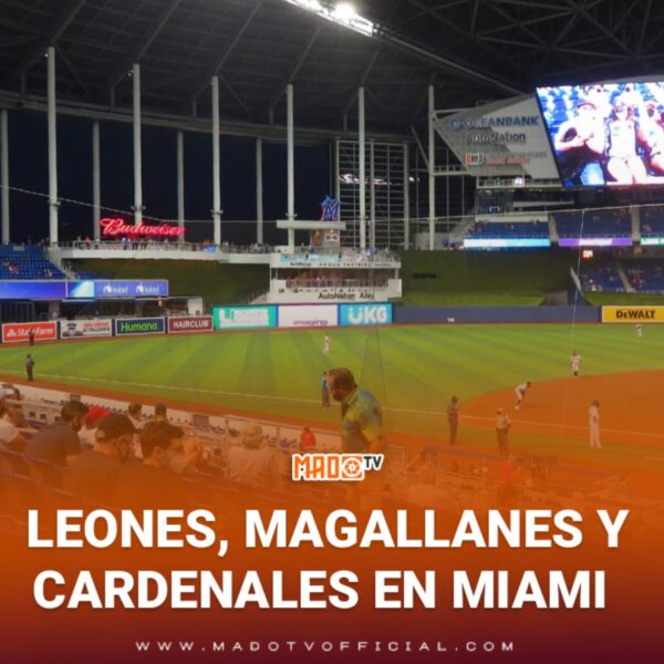 LEONES, MAGALLANES Y CARDENALES EN MIAMI