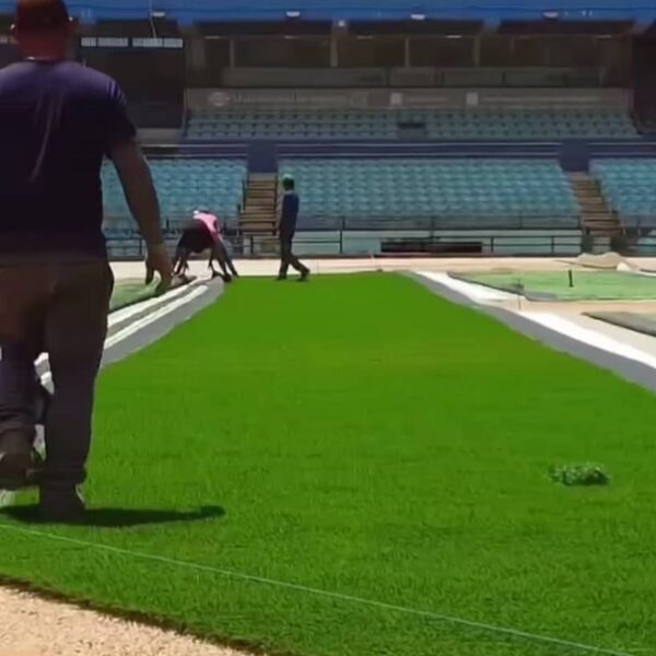 ¡Enhorabuena!&nbsp; La organización Bravos de Margarita regresa a su hogar