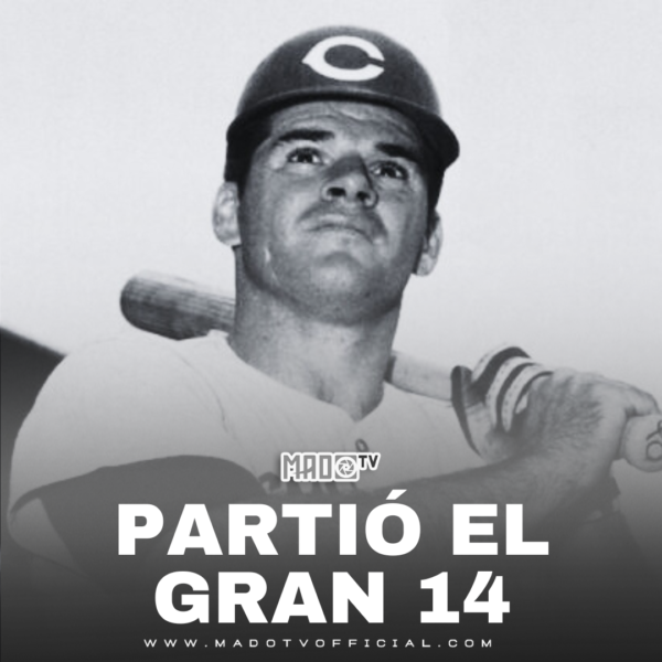 PARTIÓ EL GRAN 14