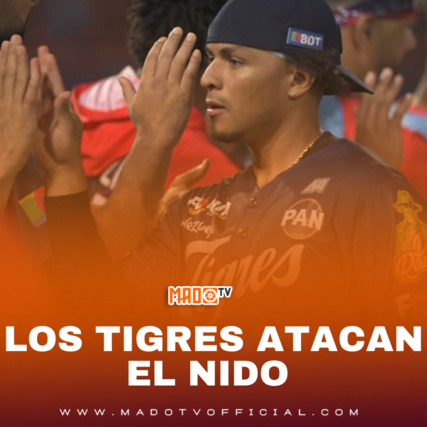 LOS TIGRES ATACAN EL NIDO