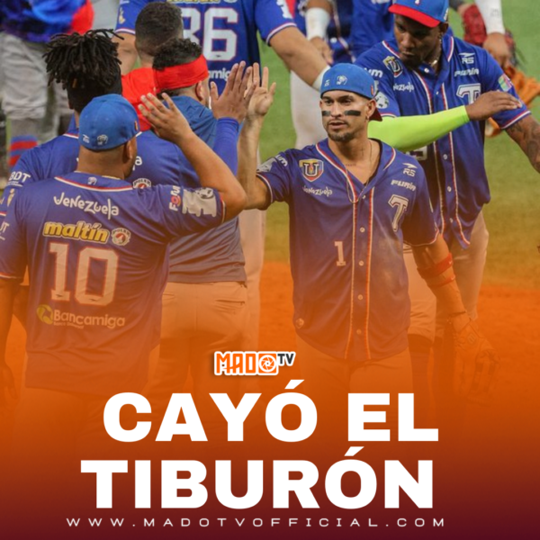 ¡CAYÓ EL TIBURÓN!