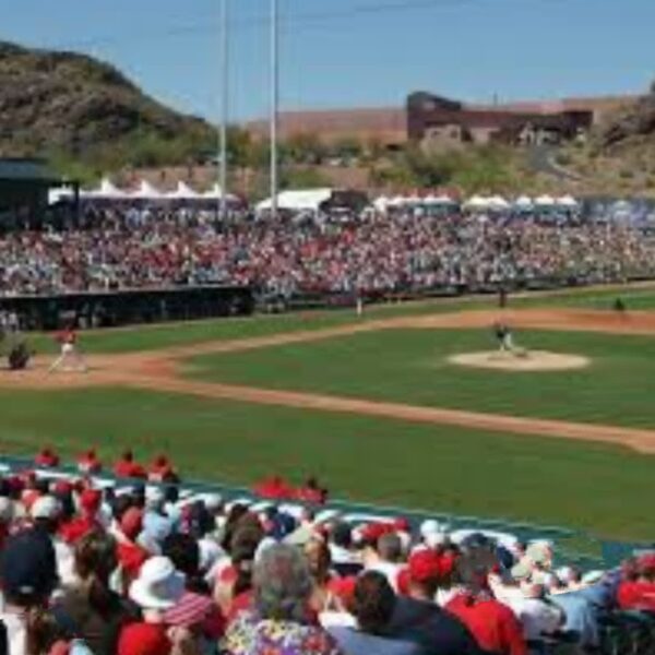 LAS GRANDES LIGAS – SPRING TRAINING 2025 TODO LO QUE DEBE SABER . Parte III